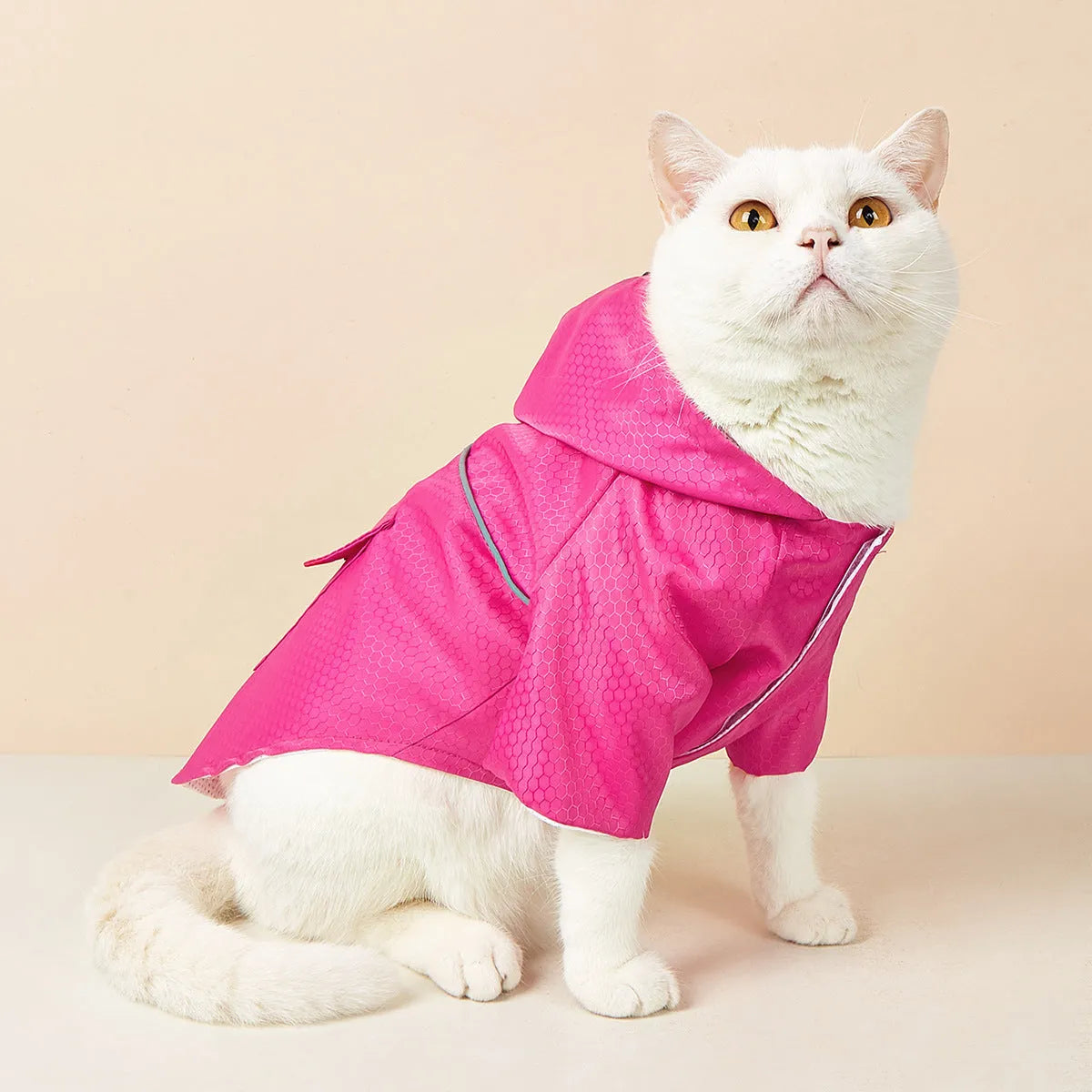 Polyester pet raincoat with night reflective stripe for cats and puppies, sizes S to XL