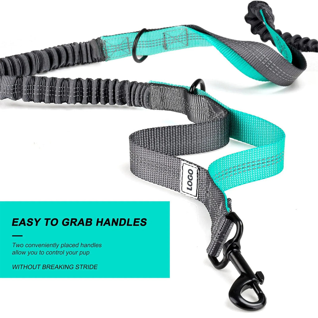 Black nylon dog walking set with waist bag and leash for outdoor use