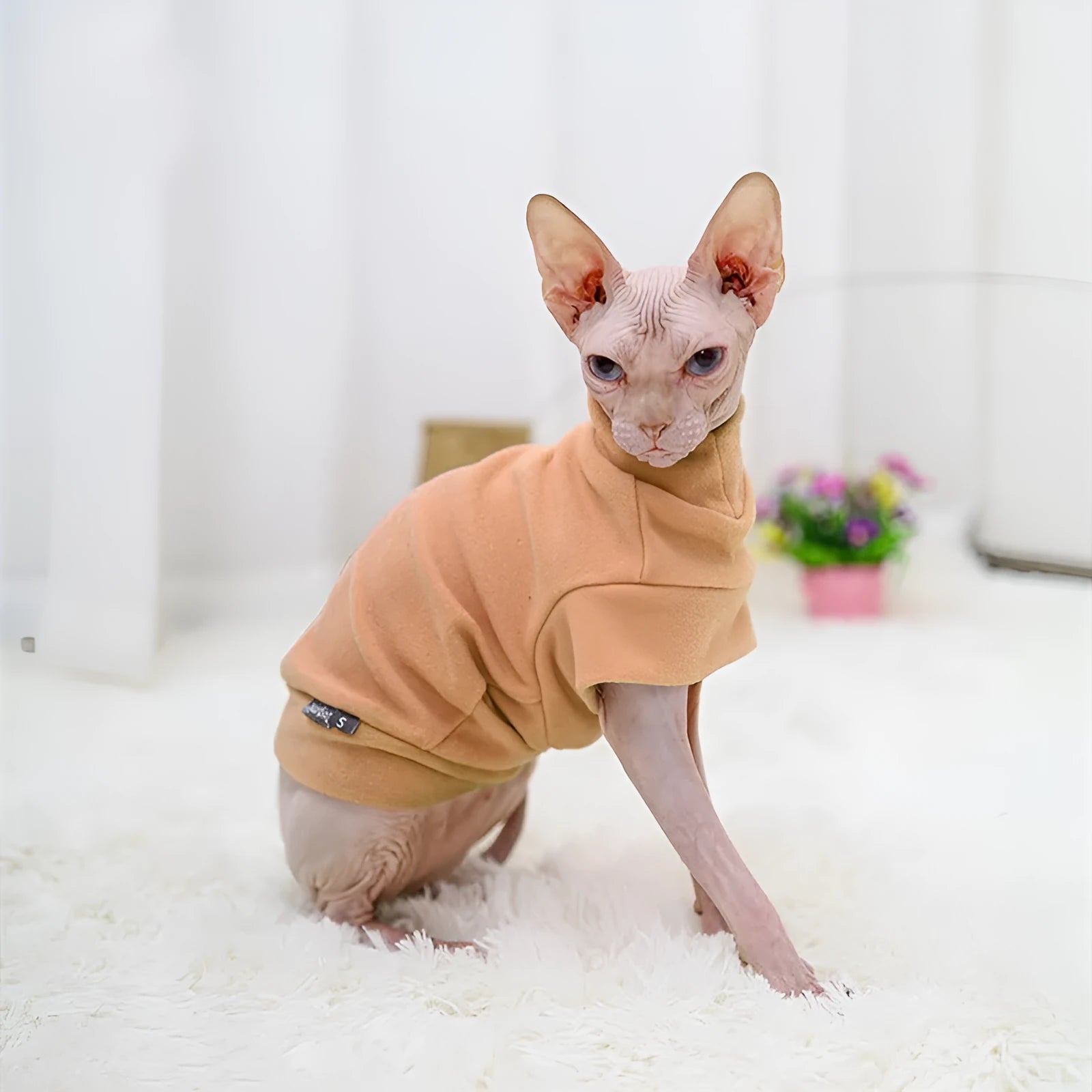 Simple warm pet clothes for hairless cats, rabbit plush sweater in light brown, blue and pink, sizes S M L