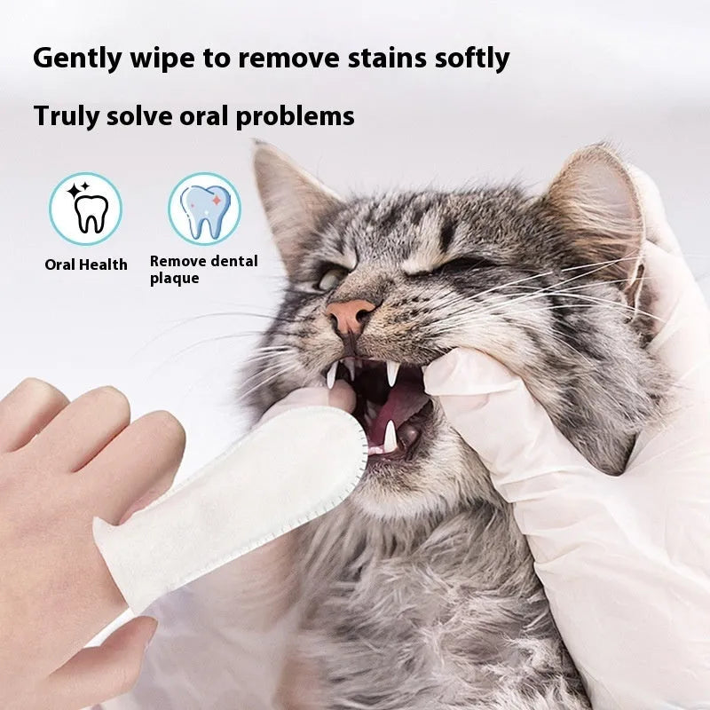 Pack of 50 non-woven pet dental finger cots for cleaning cat and dog teeth