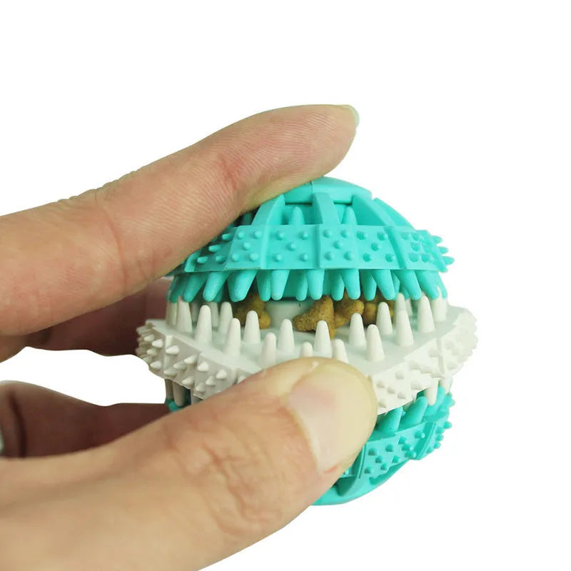 Dog molar toy set including spherical, bone, and rope shapes for teething and chewing