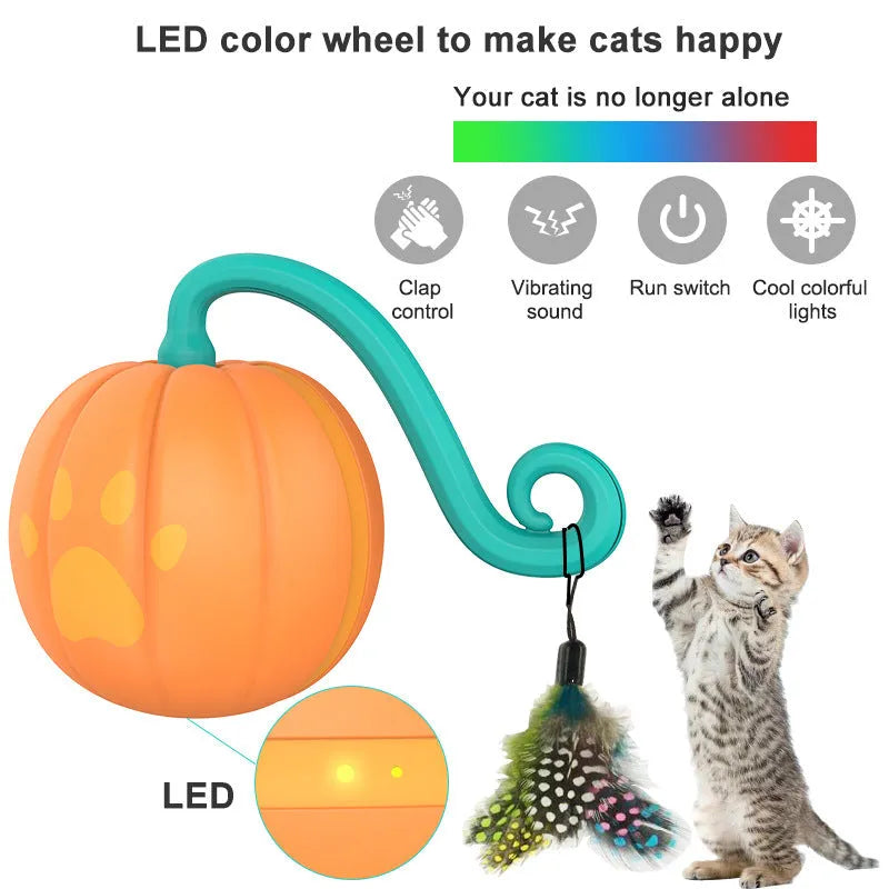 Electric cat toy with luminous ball in watermelon or pumpkin colour design