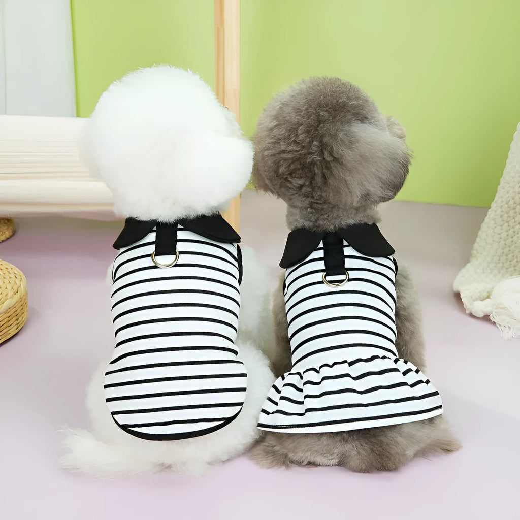 Summer stripes cotton t-shirt and skirt set for dogs in coordinated pet clothing