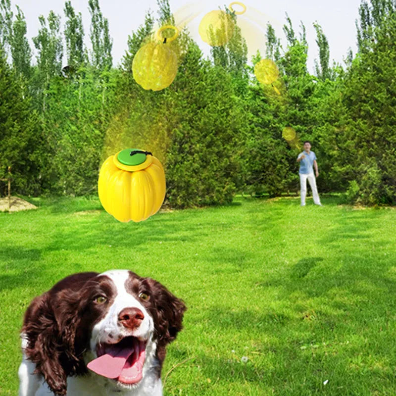 Orange pumpkin-shaped dog chew toy with squeaker for small dogs on green background