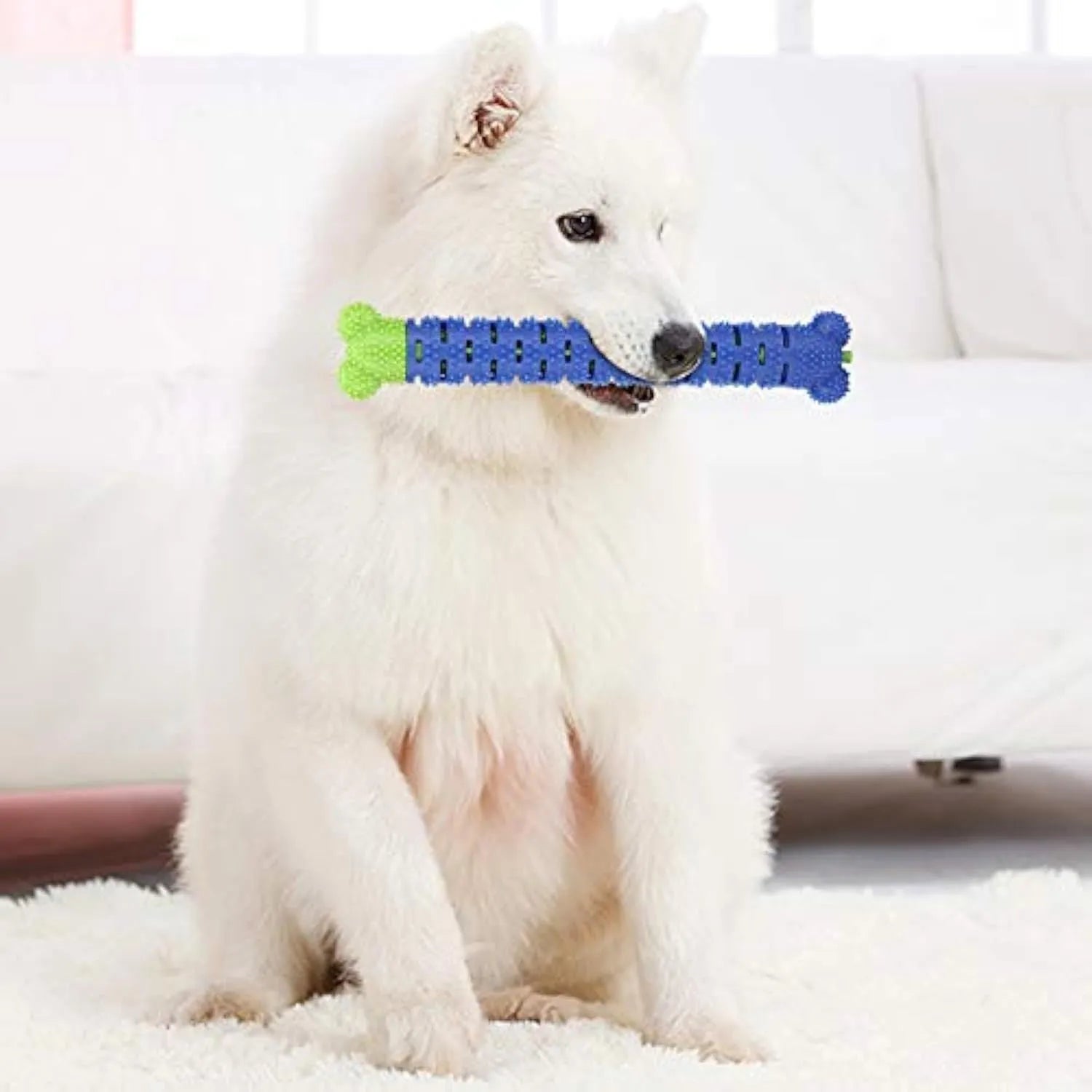 Blue green silicone dog molar tooth cleaner brushing stick with textured brush head and nodules