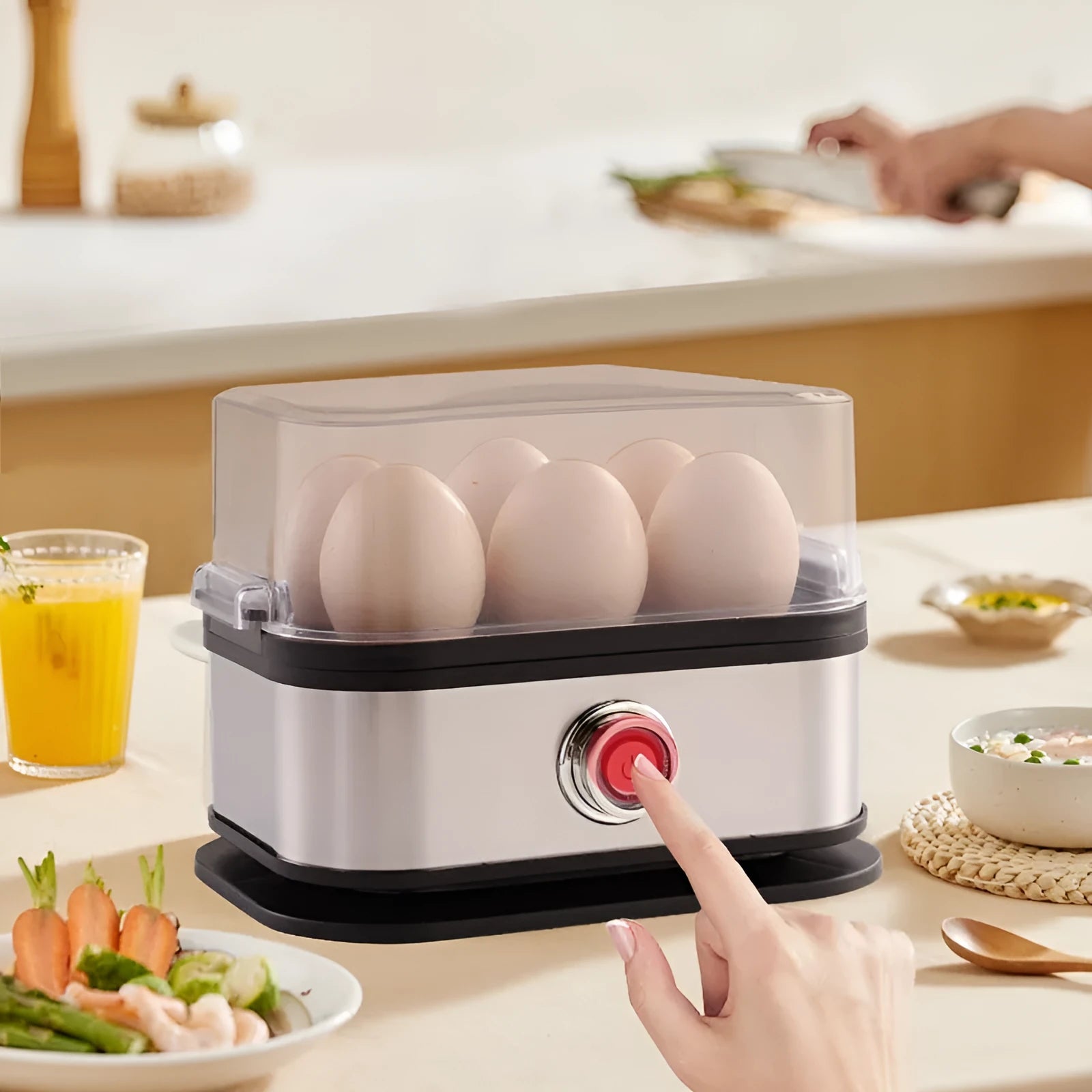 Black stainless steel portable egg boiler with car power adapter and international plugs