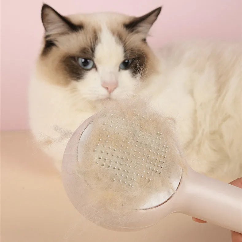 Pink cat combing brush floating needle comb for cats and dogs on white background