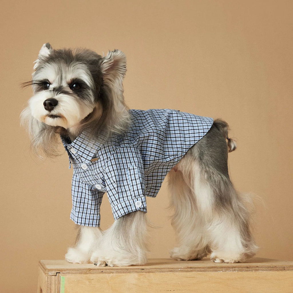 Light blue plaid cotton summer dog shirt for small breeds with XS to XXL sizing
