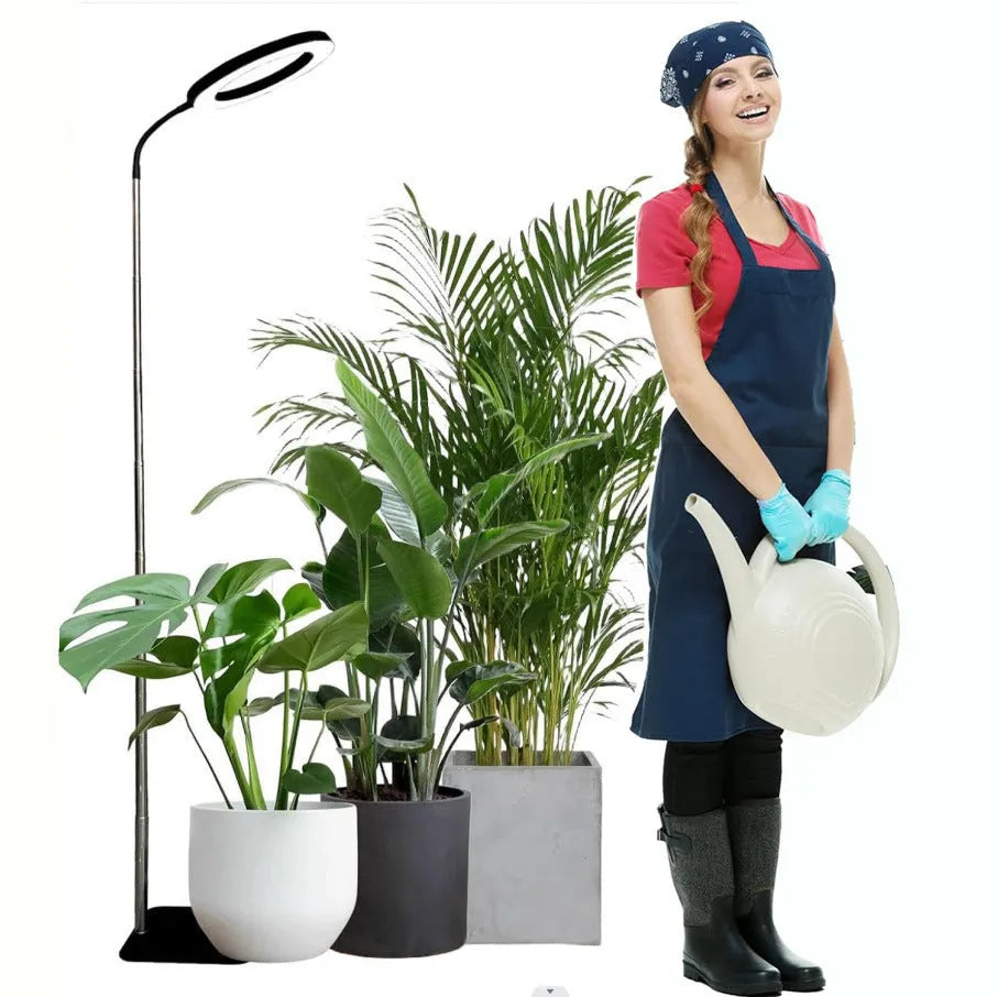 Base dual-purpose floor plant growth lamp with full spectrum LED, black aluminium finish, telescopic rod extended