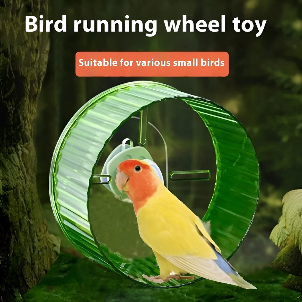 Plastic parrot running wheel toy in green, shown as a bird treadmill cage accessory.