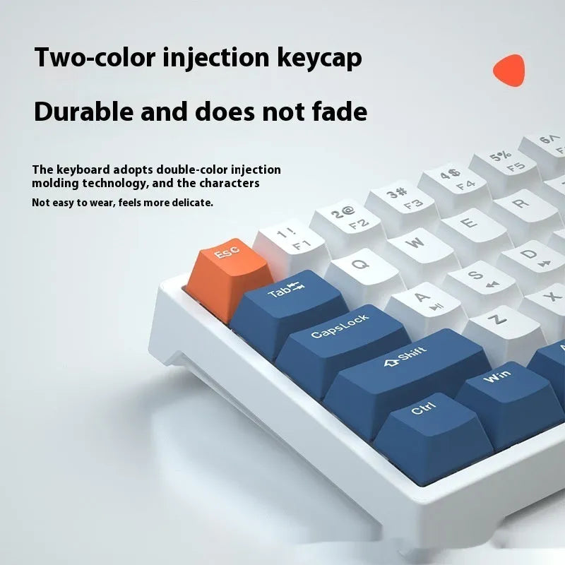 Small 61-key wired mechanical keyboard with hot-swappable sockets in blue and white colour scheme