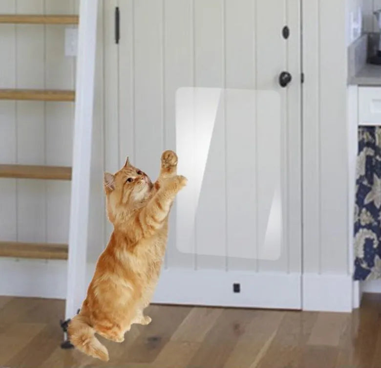 Transparent PVC bucket cat scratch sticker roll in 15x100cm and 30x100cm sizes for wall protection