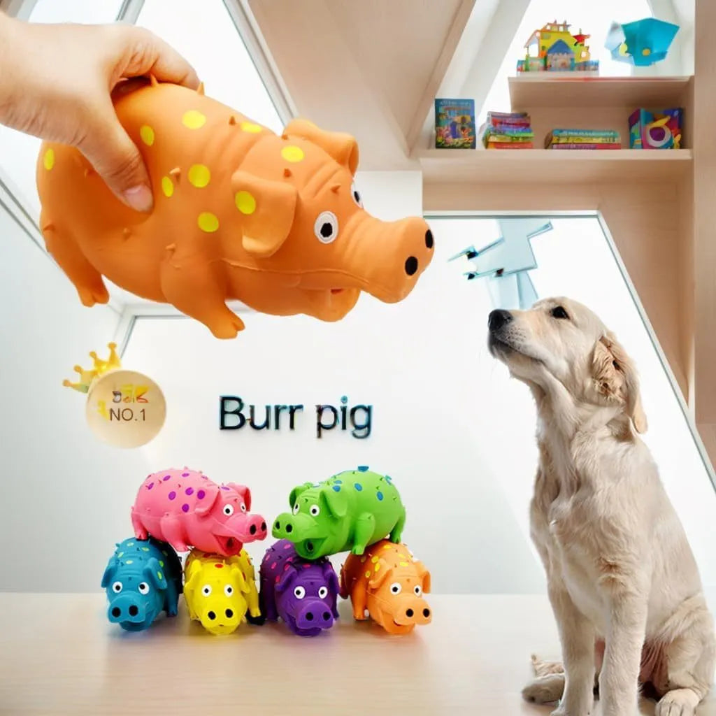 Latex pig-shaped dog chew toy with protruding texture and squeaker in various colours