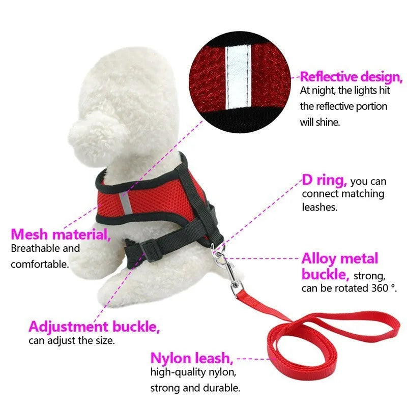 Pet car seat belt and leash with 220g mesh, 1.2 metre rope and 1.5cm width, in black red blue pink
