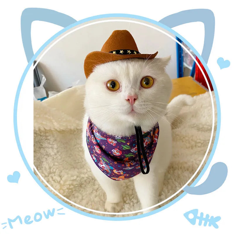 British-style cat cowboy hat with ribbon decorations in non-woven fabric