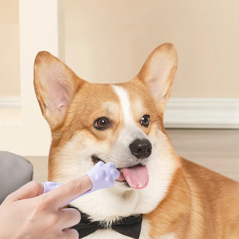 Silicone finger cover toothbrush for pet dental cleaning in pink, purple, and yellow colours.