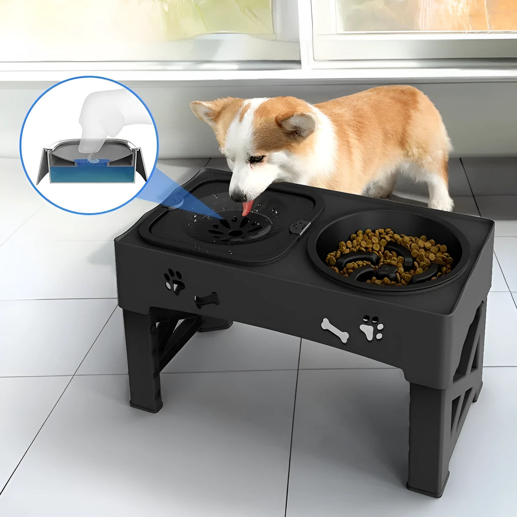 Pet stainless steel double bowl integrated lifting dog feeder in black and gray with silicone base on floor