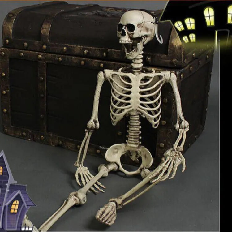 Full size 170cm plastic skeleton prop standing for Halloween decoration display