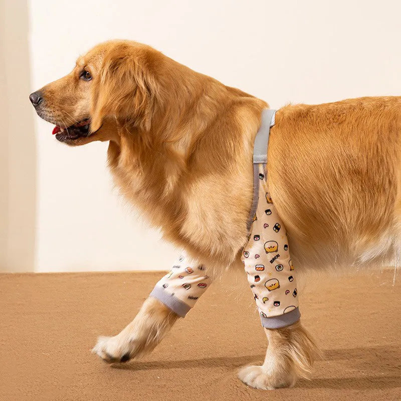 Adjustable dog knee protector guard with thick elbow pad and matching scarf in blue, on a medium-sized dog.