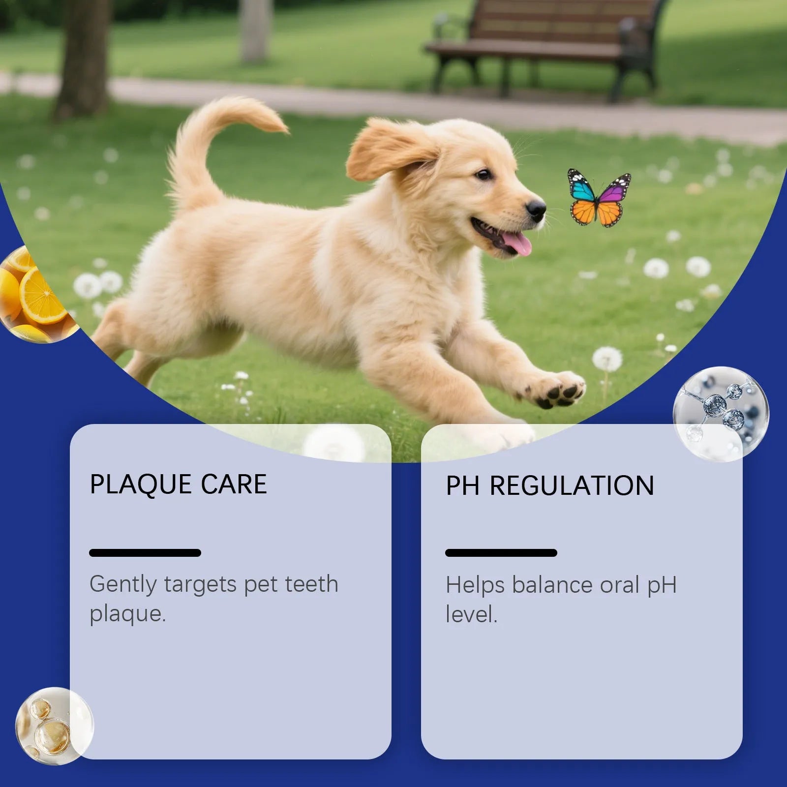 Pet tooth cleaning powder pack 100g for dogs and cats dental care