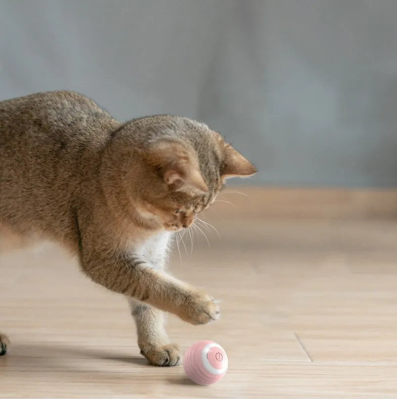 Automatic moving cat toy ball with silicone construction in blue and pink colour options