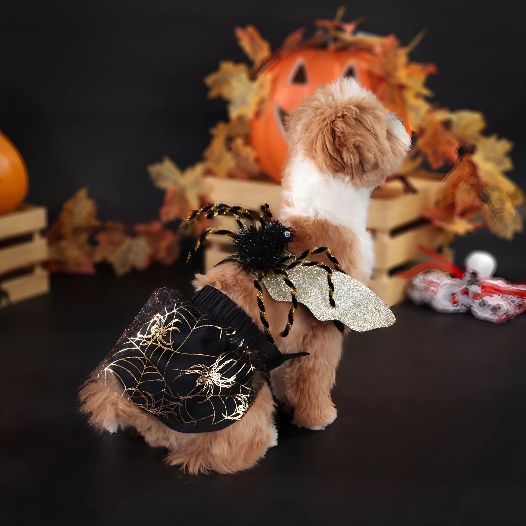 A dog wearing a Halloween costume suit in sizes from small to extra large.