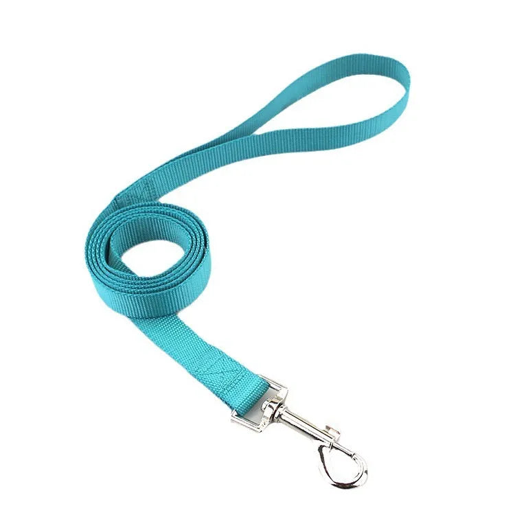 Solid colour polyester dog training rope with hand-holding loop in blue, showing length and simple construction