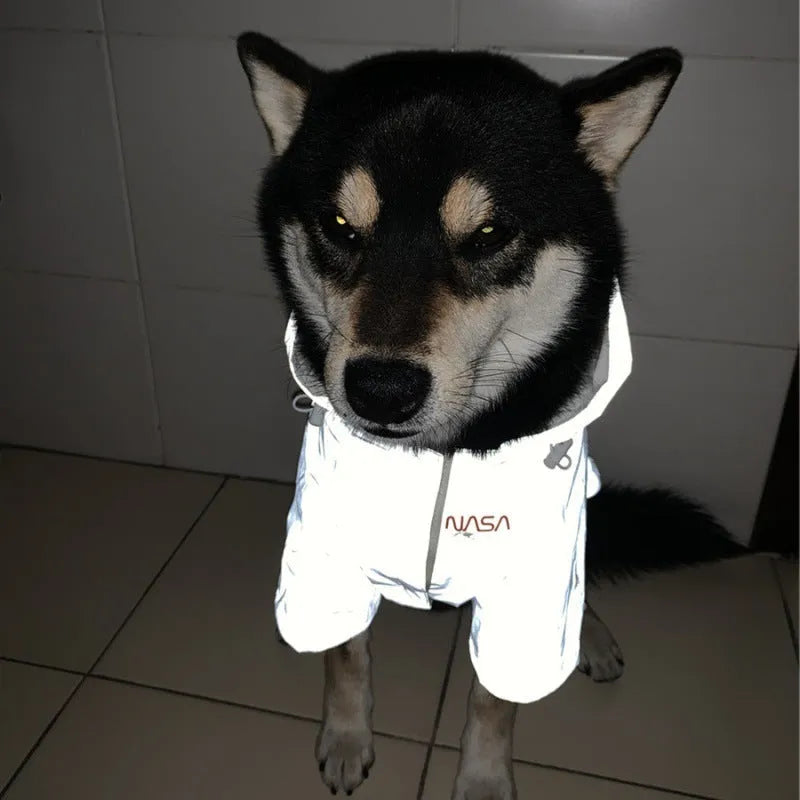 Tide windproof rainproof reflective space suit pet raincoat in white on a dog