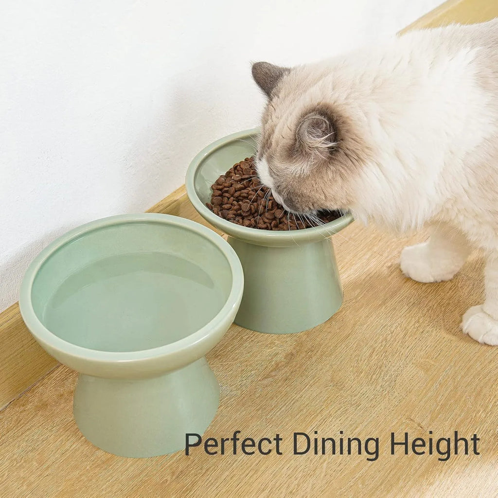 Ceramic elevated cat bowl with 16cm wide shallow design for whisker fatigue prevention