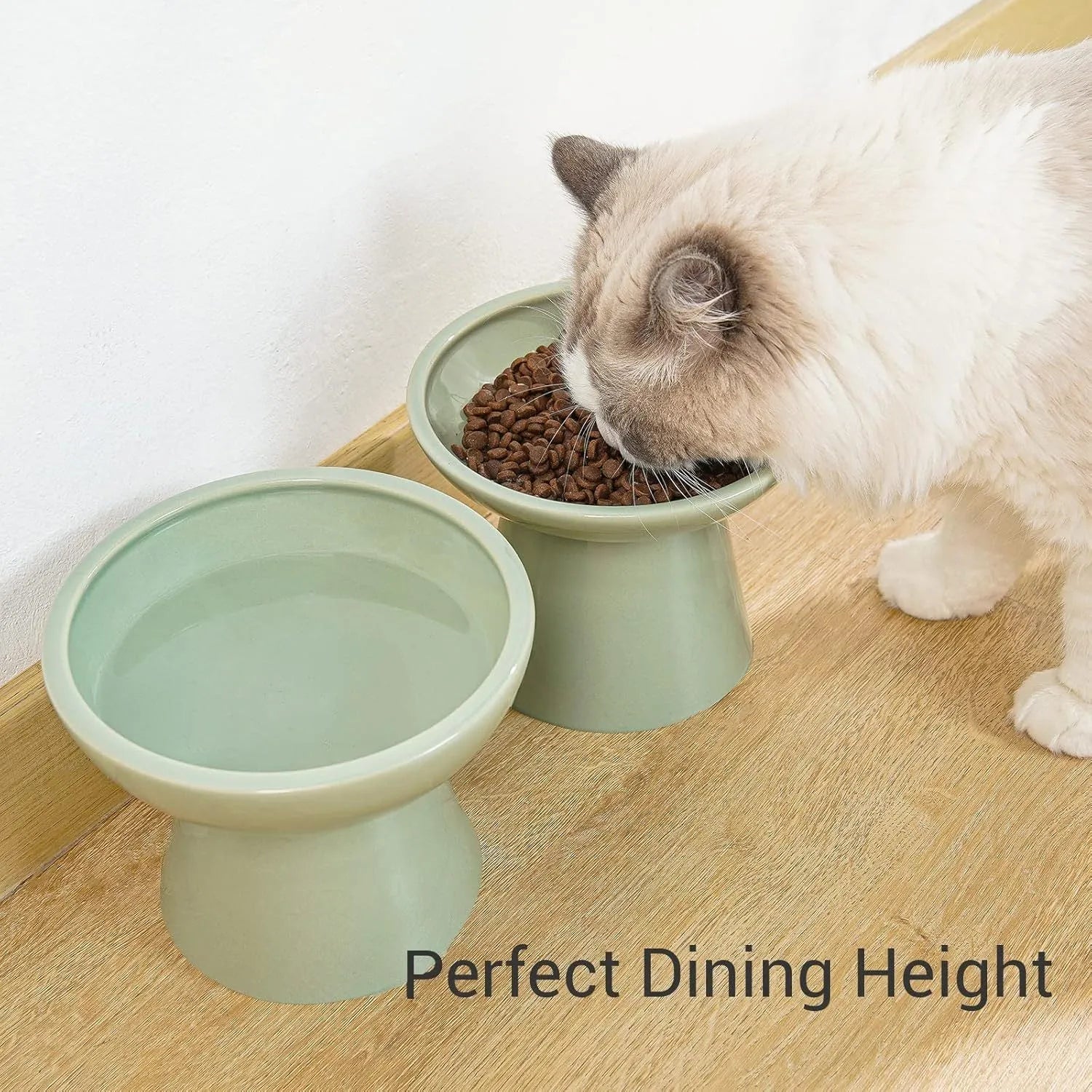 Ceramic elevated cat bowl with 16cm wide shallow design for whisker fatigue prevention