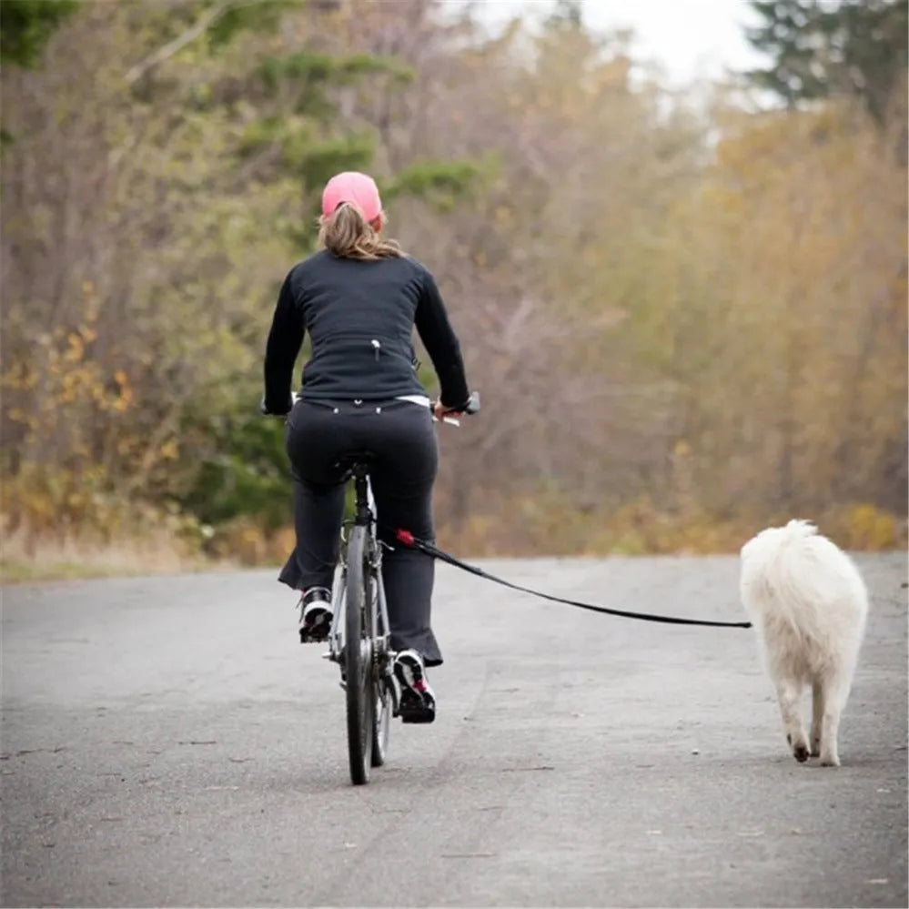Black bicycle dog walker with detachable chain, 24 inch size, dual disc brakes