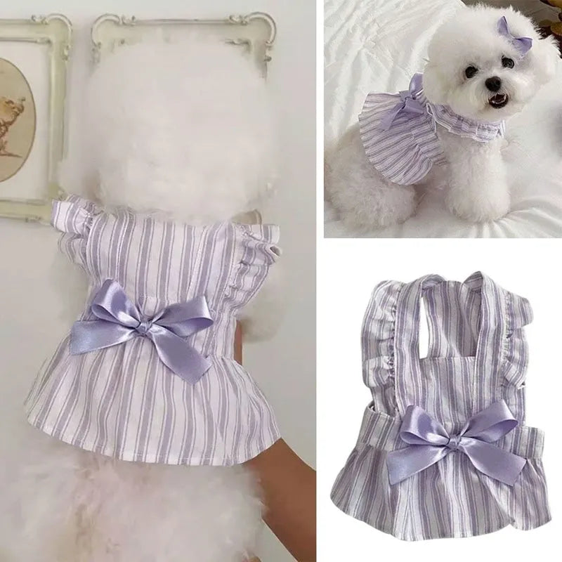 Purple dog dress with thin vest, bowknot, and striped skirt on light background