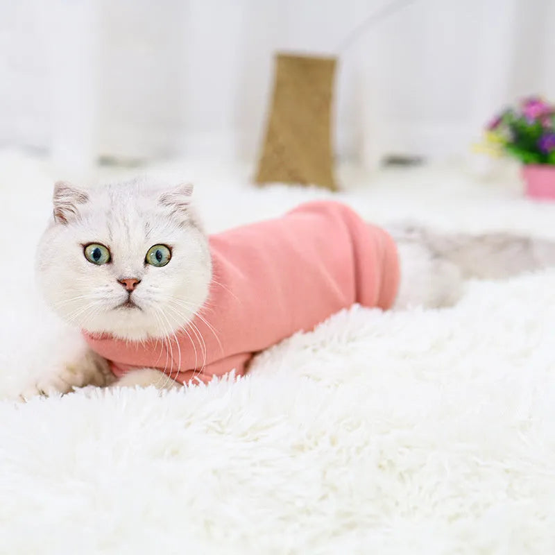 Simple warm pet clothes for hairless cats, rabbit plush sweater in light brown, blue and pink, sizes S M L