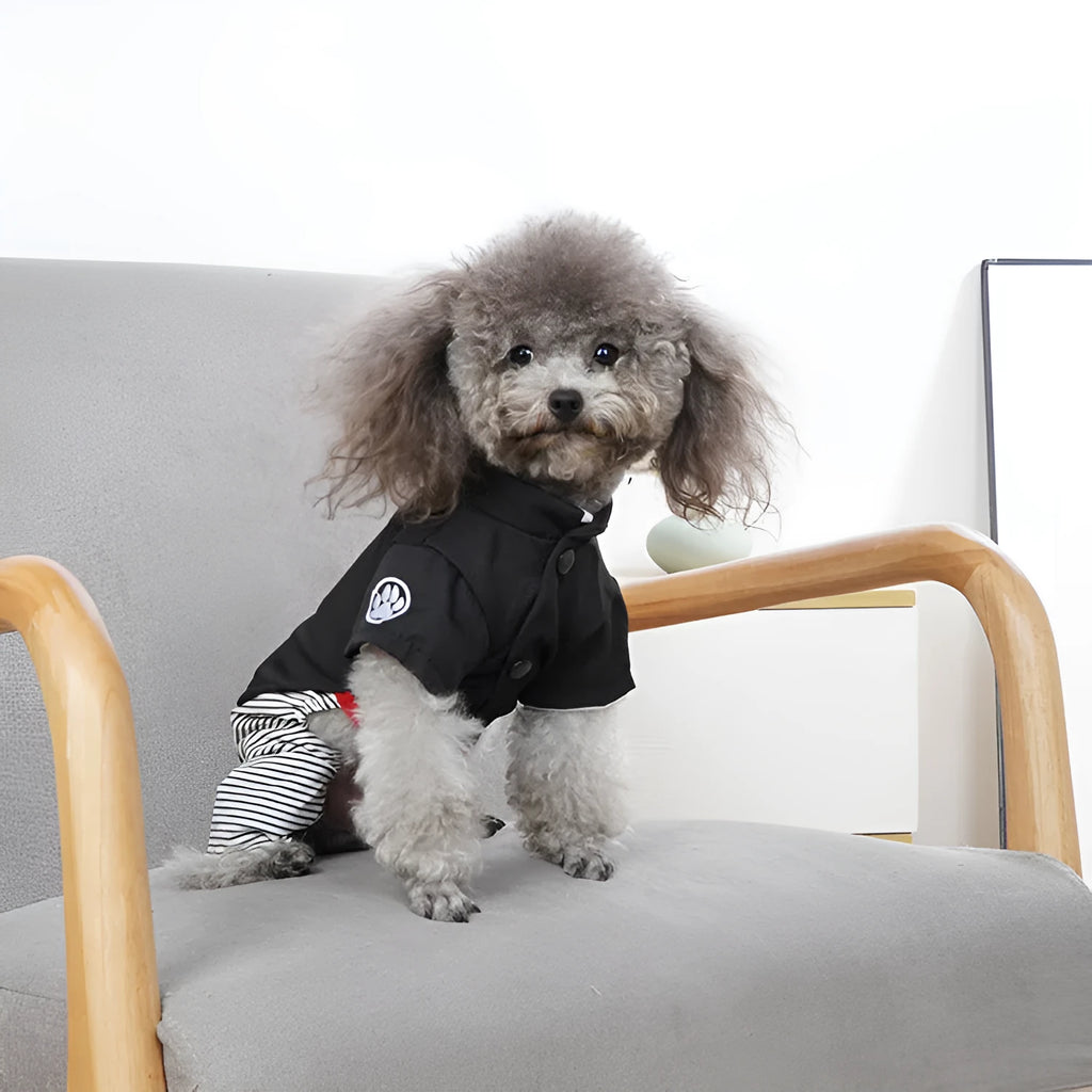 Cotton poodle dog clothes in skirt and four-foot pants styles for spring and summer