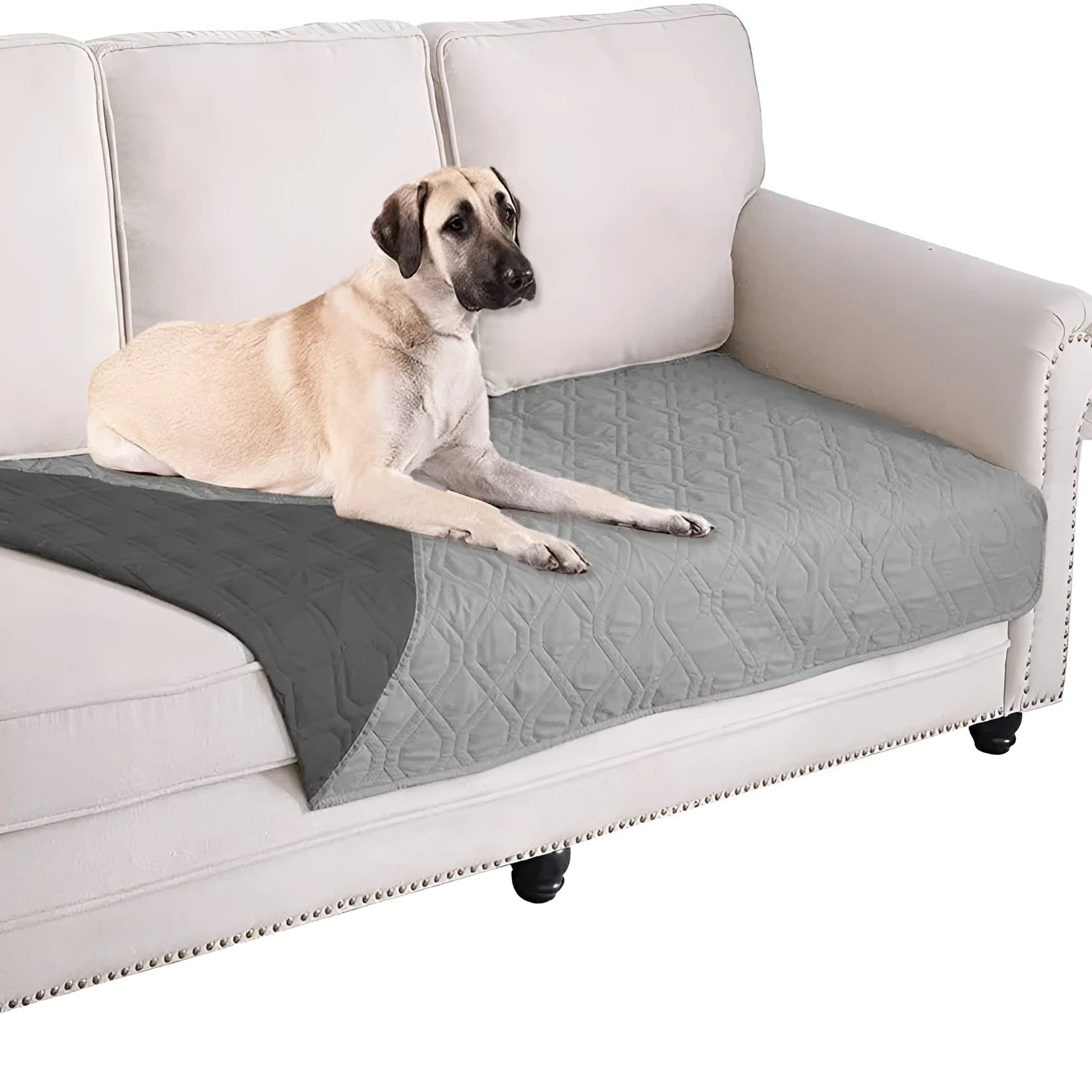 Reversible dog blanket on a sofa, showing two colour options, protecting furniture from pets.