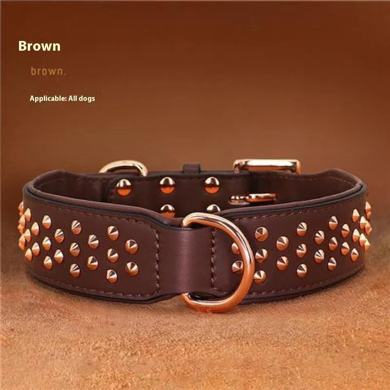 Leather dog collar with metal rivet studs in chocolate brown colour.