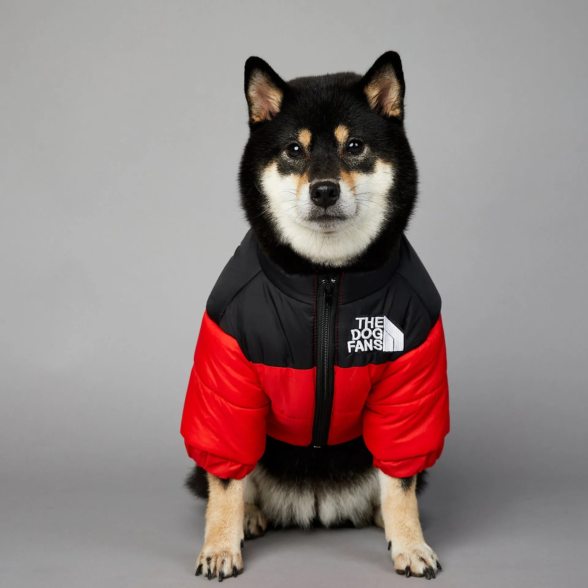 Windproof and rainproof polyester dog winter coat in dark green, available in multiple sizes