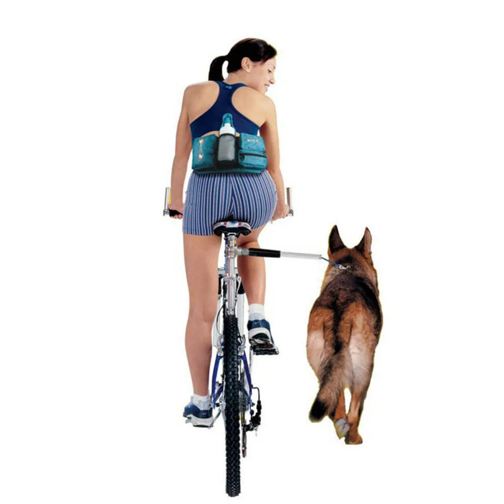 Black bicycle dog walker with detachable chain, 24 inch size, dual disc brakes