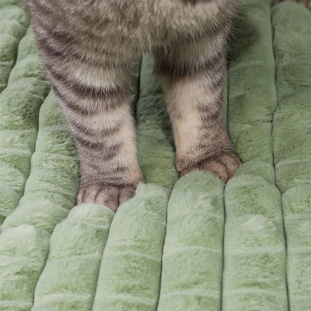Removable winter warm pet pad in coffee, grey, or green, available in M, L, XL, and 3XL sizes.