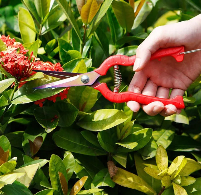 Straight bonsai gardening scissors with stainless steel blade and pink ABS plastic handle for thinning and fruit picking