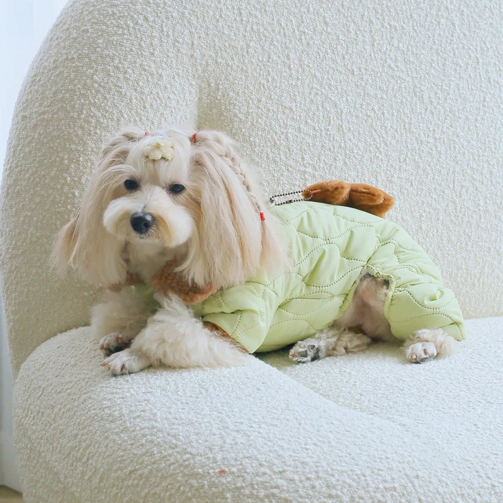 Extra thick band pendant pet clothing with toy bear pendant in light green made from cotton