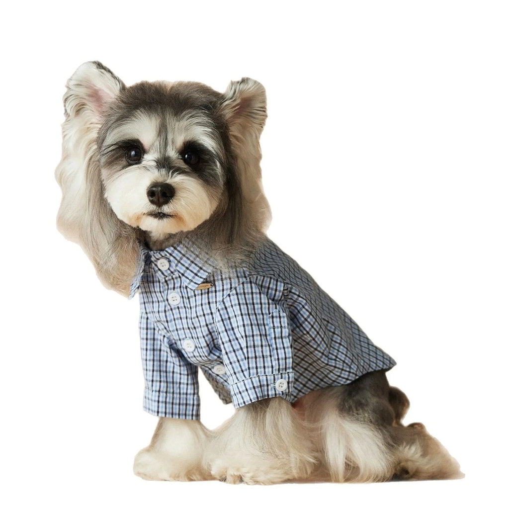 Light blue plaid cotton summer dog shirt for small breeds with XS to XXL sizing