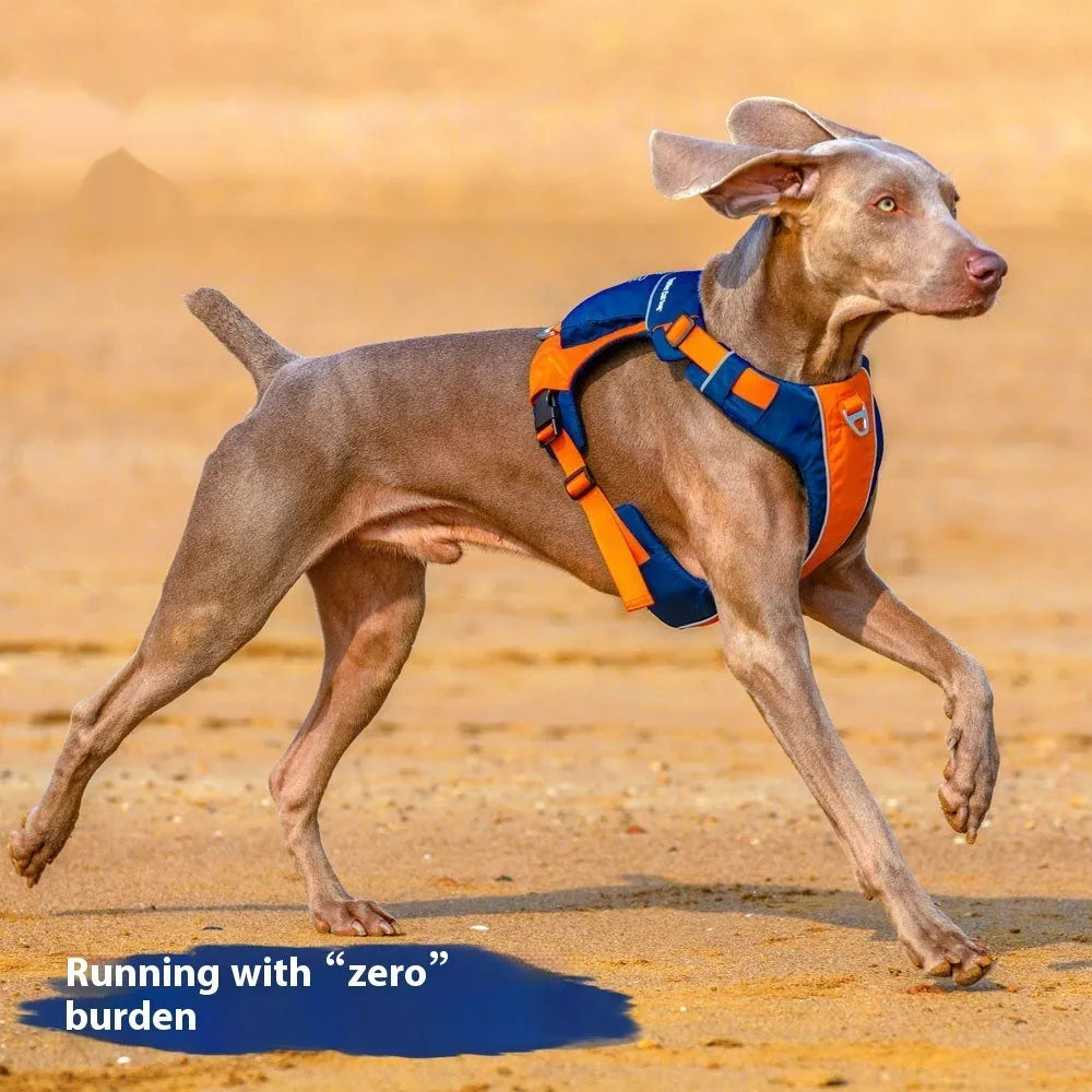 Orange blue nylon dog chest strap vest style with hand rope attachment for walking control