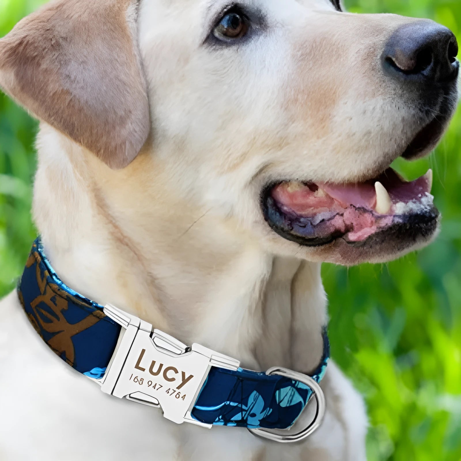 A general dog collar shown in black, green, and rose red, illustrating the three size options: S, M, and L.