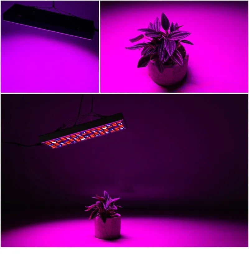 25W LED plant supplement light with 75 LEDs, 1000lm, ABS housing, 310x119x29.5mm, silver finish
