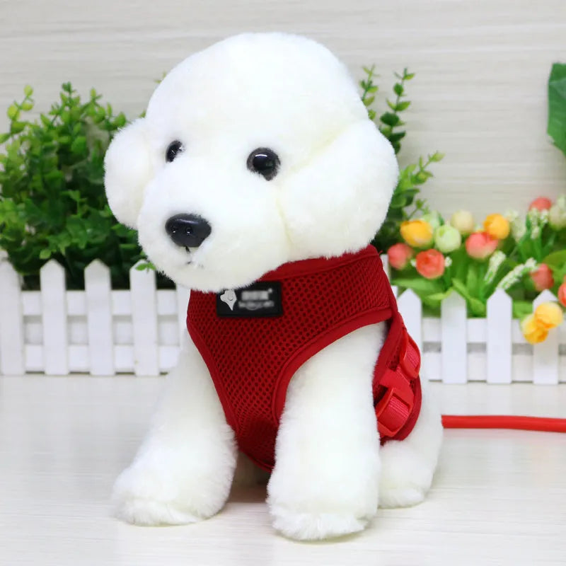 Small dog leash and collar set with adjustable collar and foam handle in multiple colours