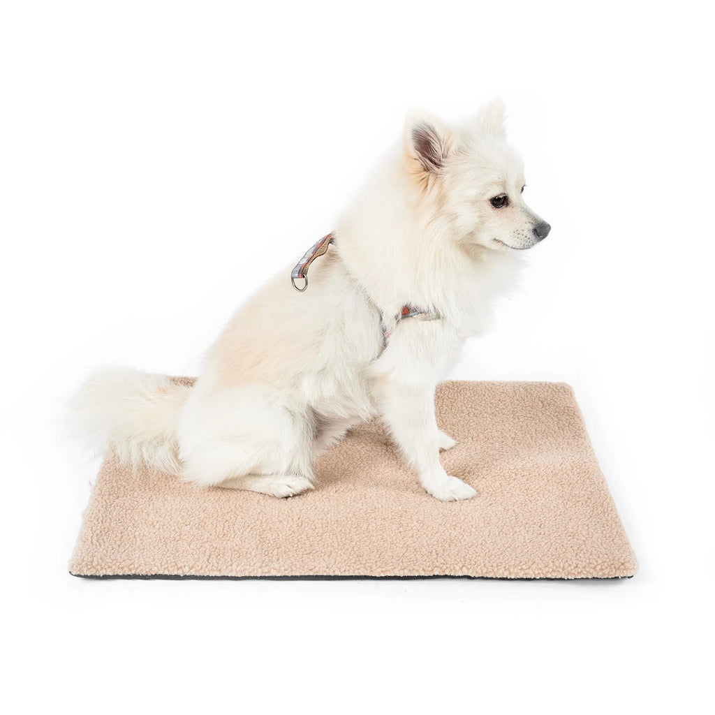 Grey self-heating plush pet pad for cats showing rectangular shape and soft texture