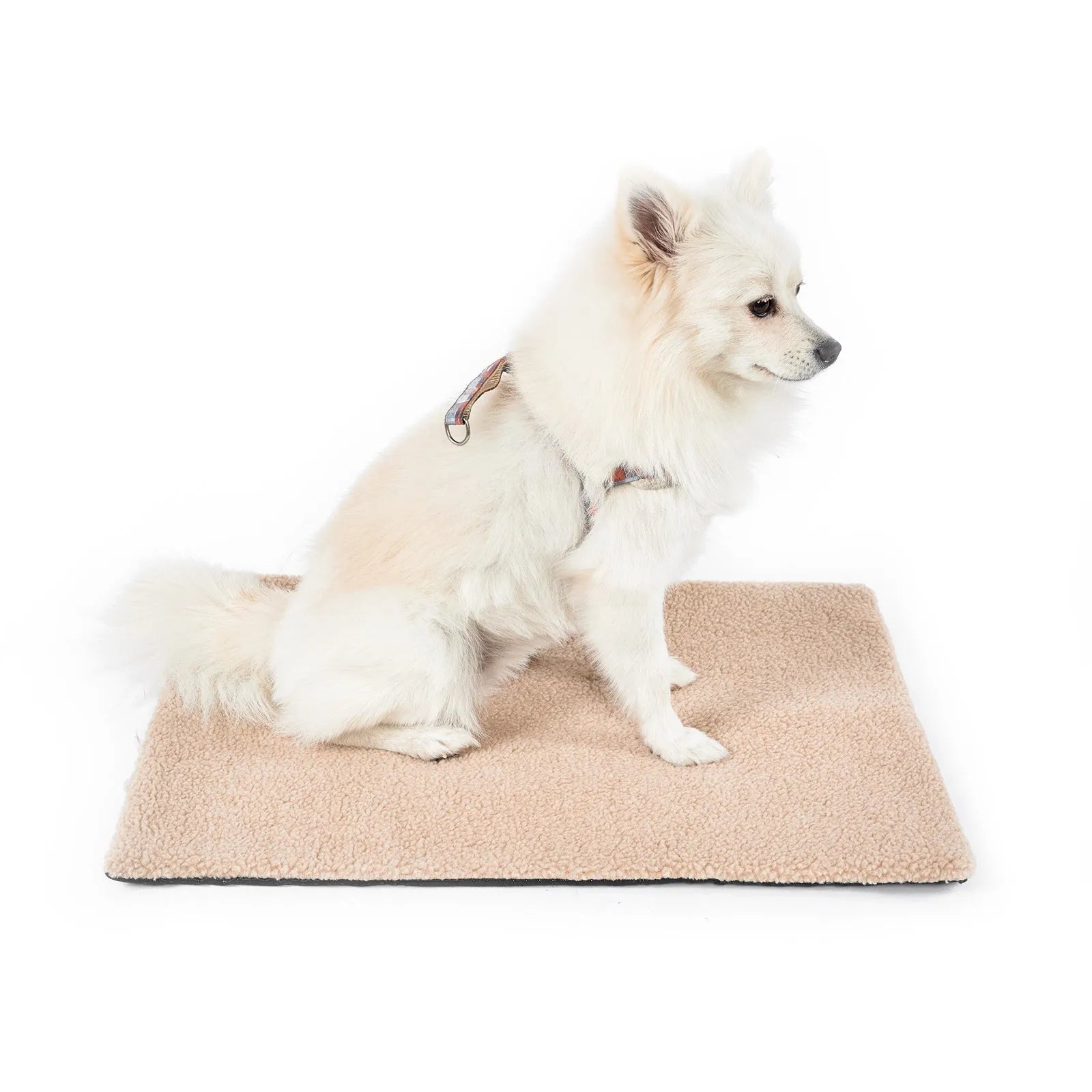 Grey self-heating plush pet pad for cats showing rectangular shape and soft texture