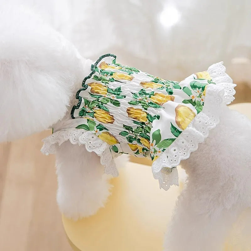 Rock yellow lemon polyester dog skirt with thin breathable straps princess style