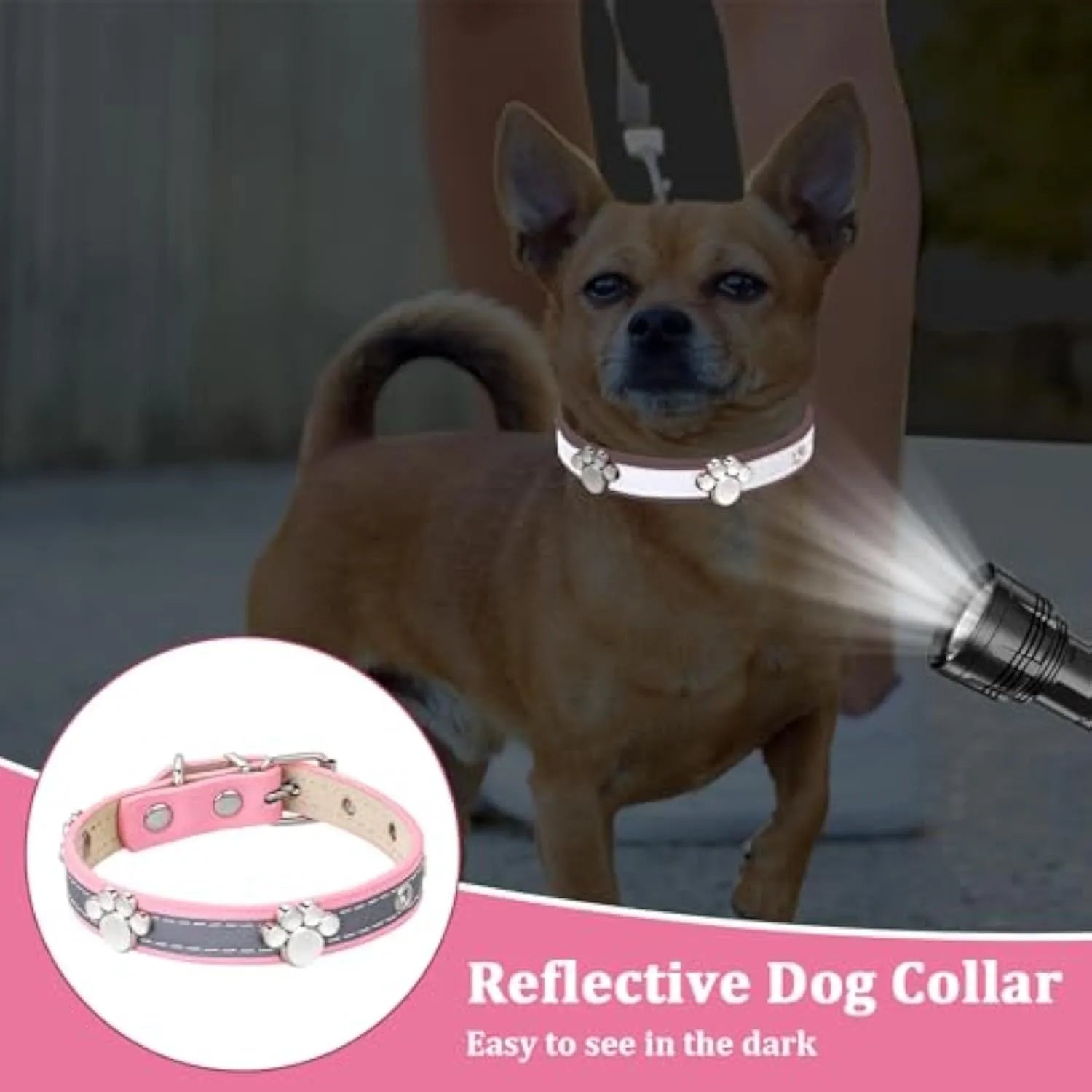 Reflective adjustable leather dog collar with cute paw rivet on a grey background.